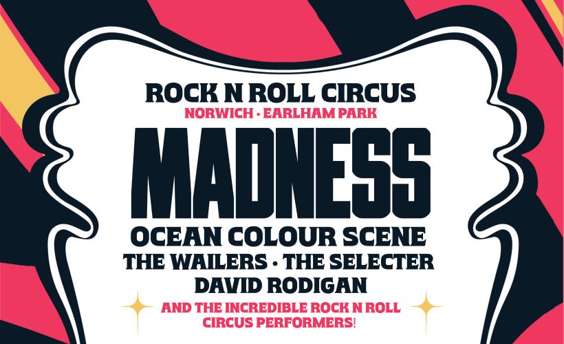 Rock N Roll Circus - Madness  at Earlham Park, Norwich