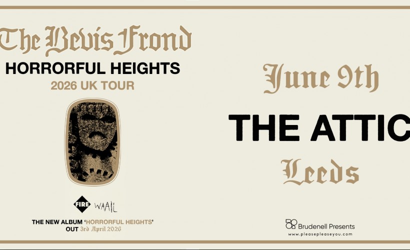 The Bevis Frond  at The Attic, Leeds