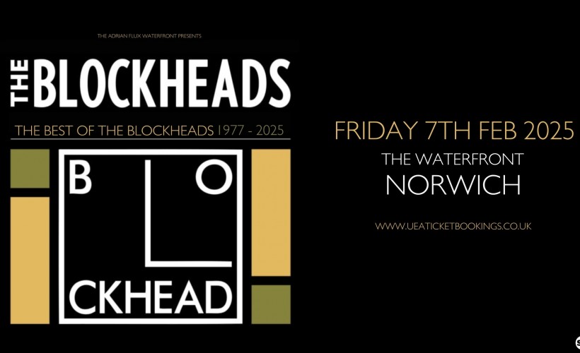 The Blockheads  at Waterfront, Norwich