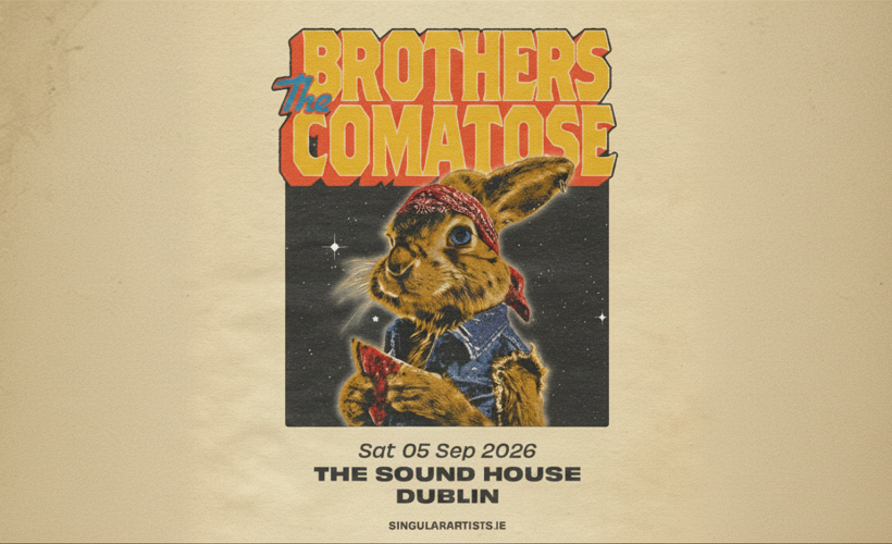 The Brothers Comatose  at The Sound House, Dublin