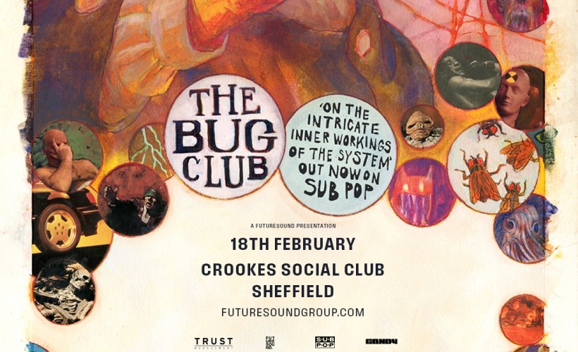 The Bug Club  at Crookes Social Club, Sheffield