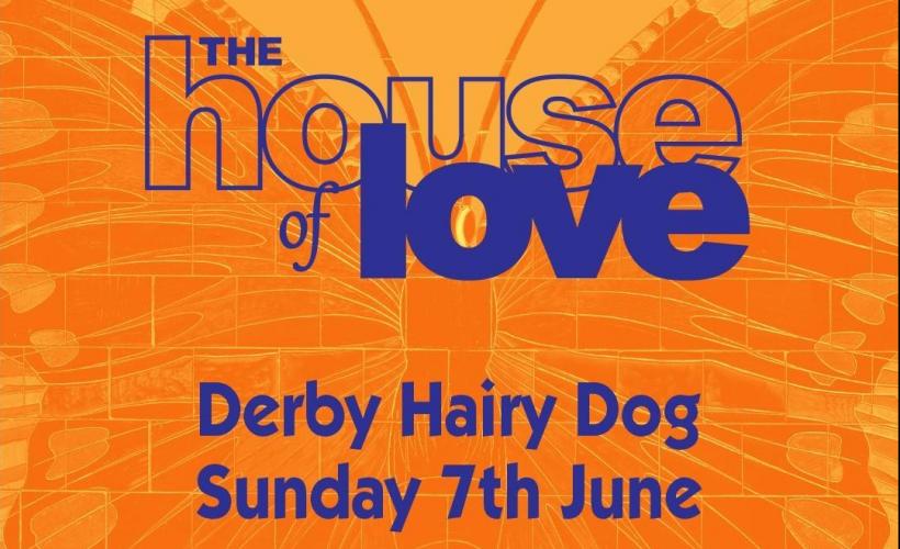 The House Of Love  at The Hairy Dog, Derby