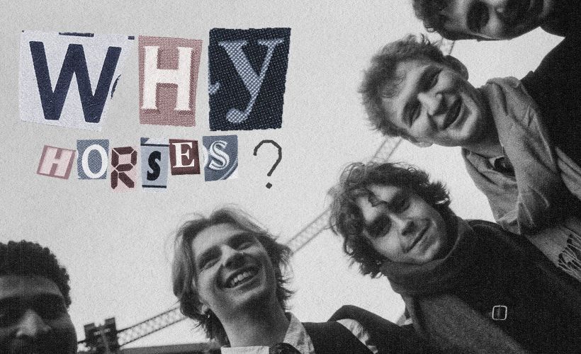  why horses?