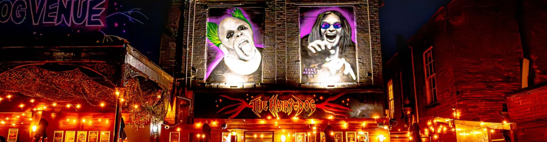 Venue Guide: The Hairy Dog, Derby banner
