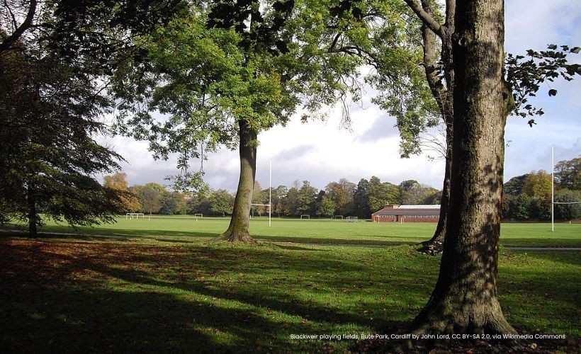 Blackweir Fields, Cardiff